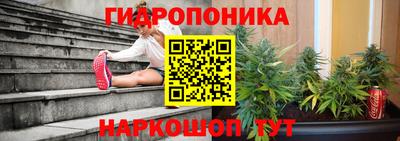 сатива Ирбит