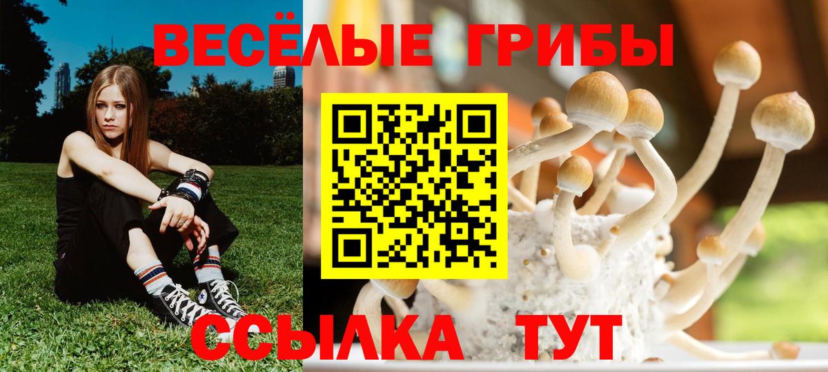 Псилоцибиновые грибы GOLDEN TEACHER  Вход с VPN  Азов 