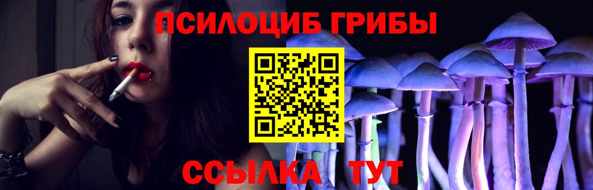 Галлюциногенные грибы Magic Shrooms Азов